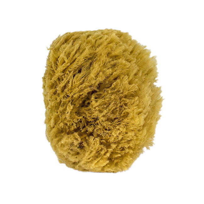 All-natural deep sea body bath sponge by Toronto's Urban Spa is super-sudsing and sustainably harvested. You can find this deep sea beauty in our gift baskets, or add it to your cart when customizing your own gift basket right on our site!